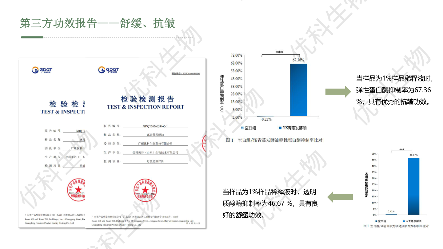 第三方功效报告：弹性蛋白酶与透明质酸酶抑制率