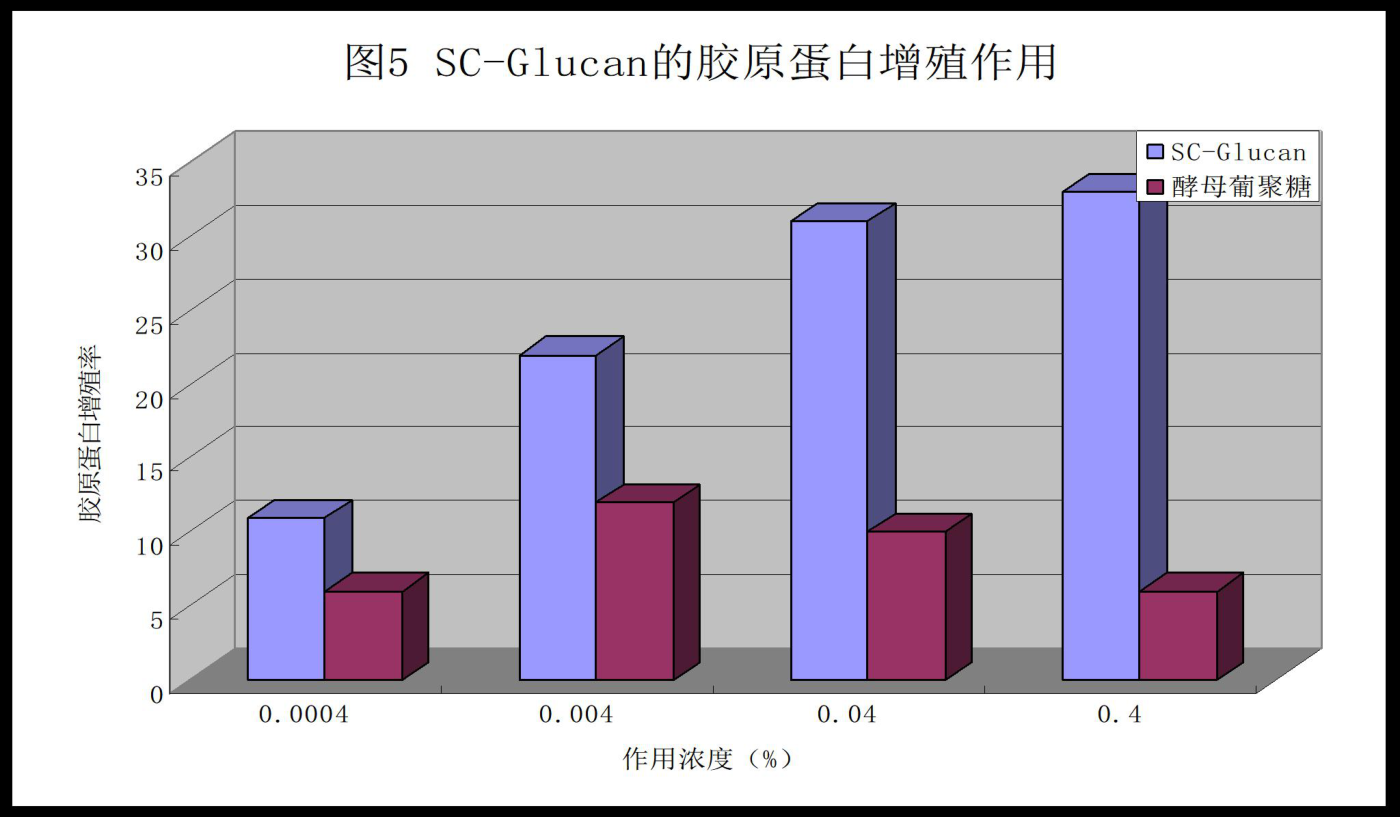 SC-Glucan胶原蛋白增殖作用:四档浓度下均显著高于酵母葡聚糖