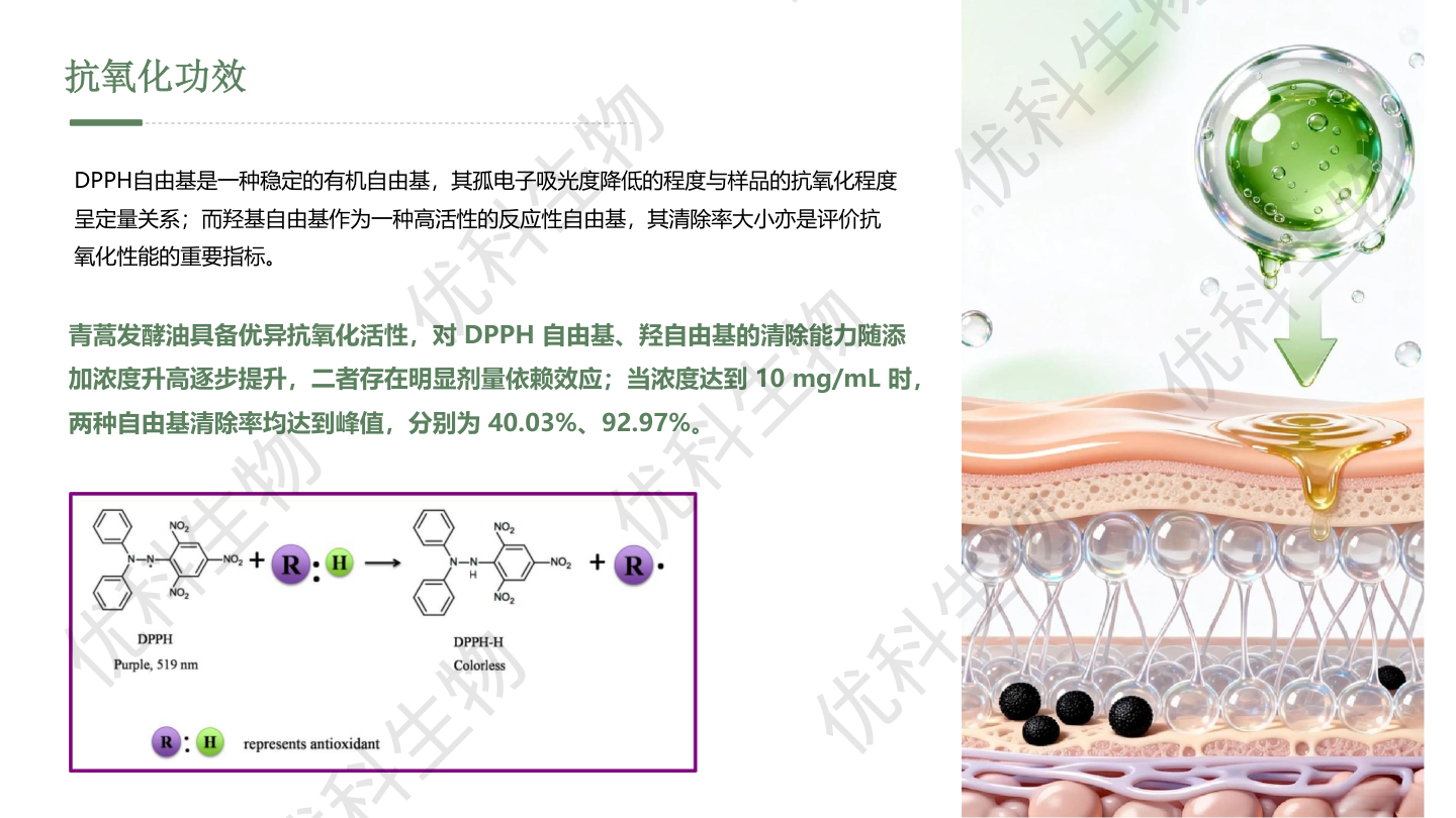 抗氧化功效：DPPH与羟自由基清除率测试数据
