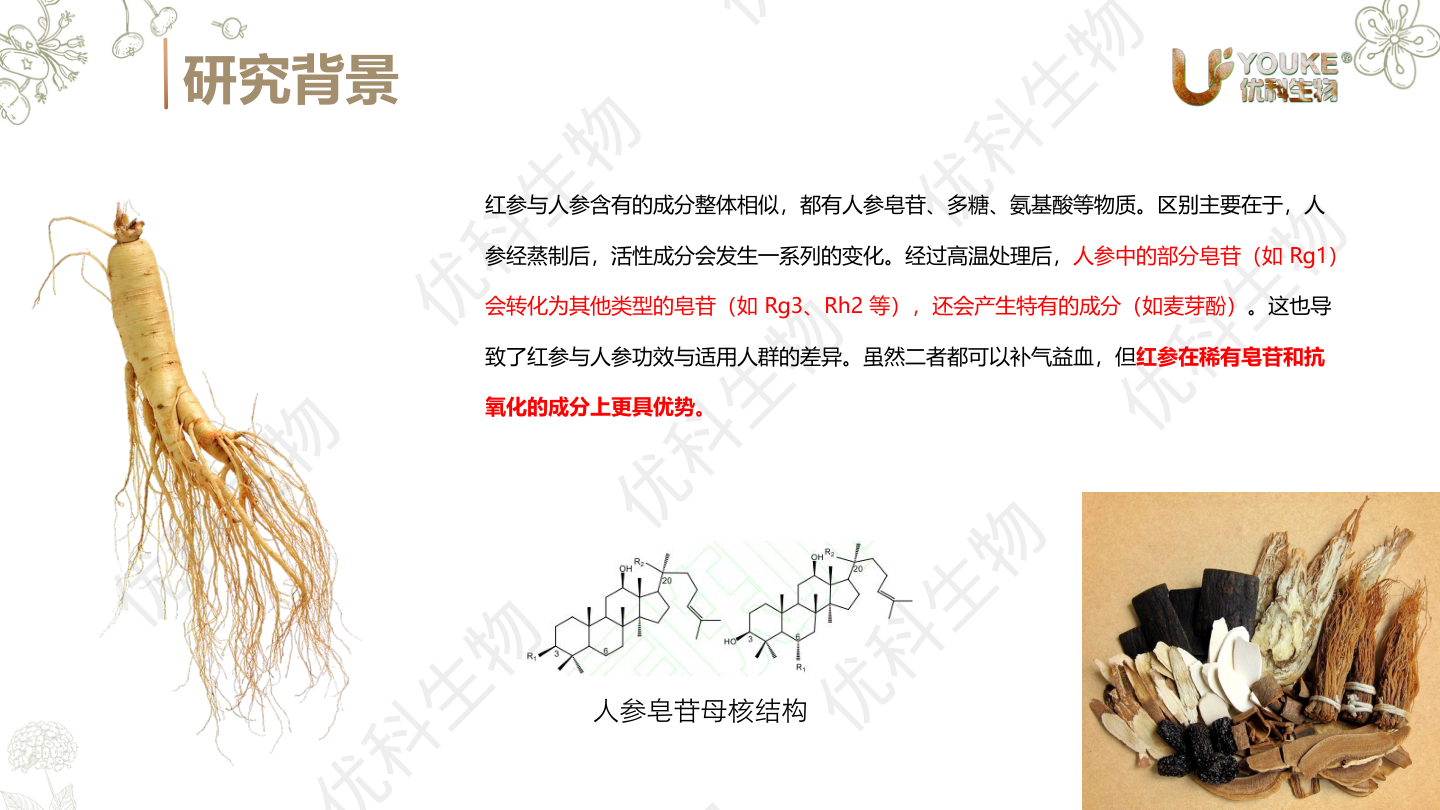 红参与人参的成分差异:蒸制带来皂苷转化