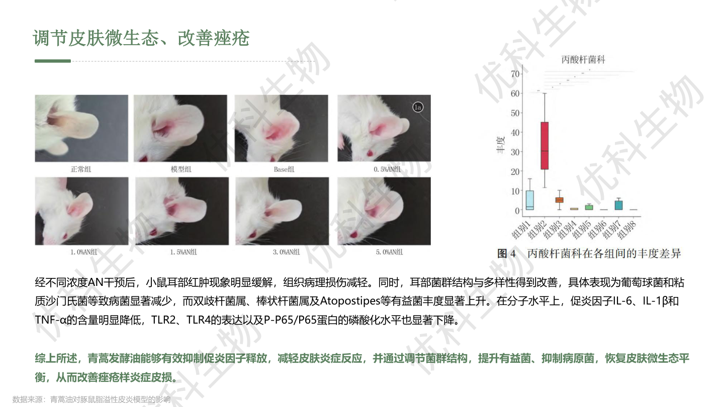 调节皮肤微生态：小鼠耳部模型菌群与炎症因子数据