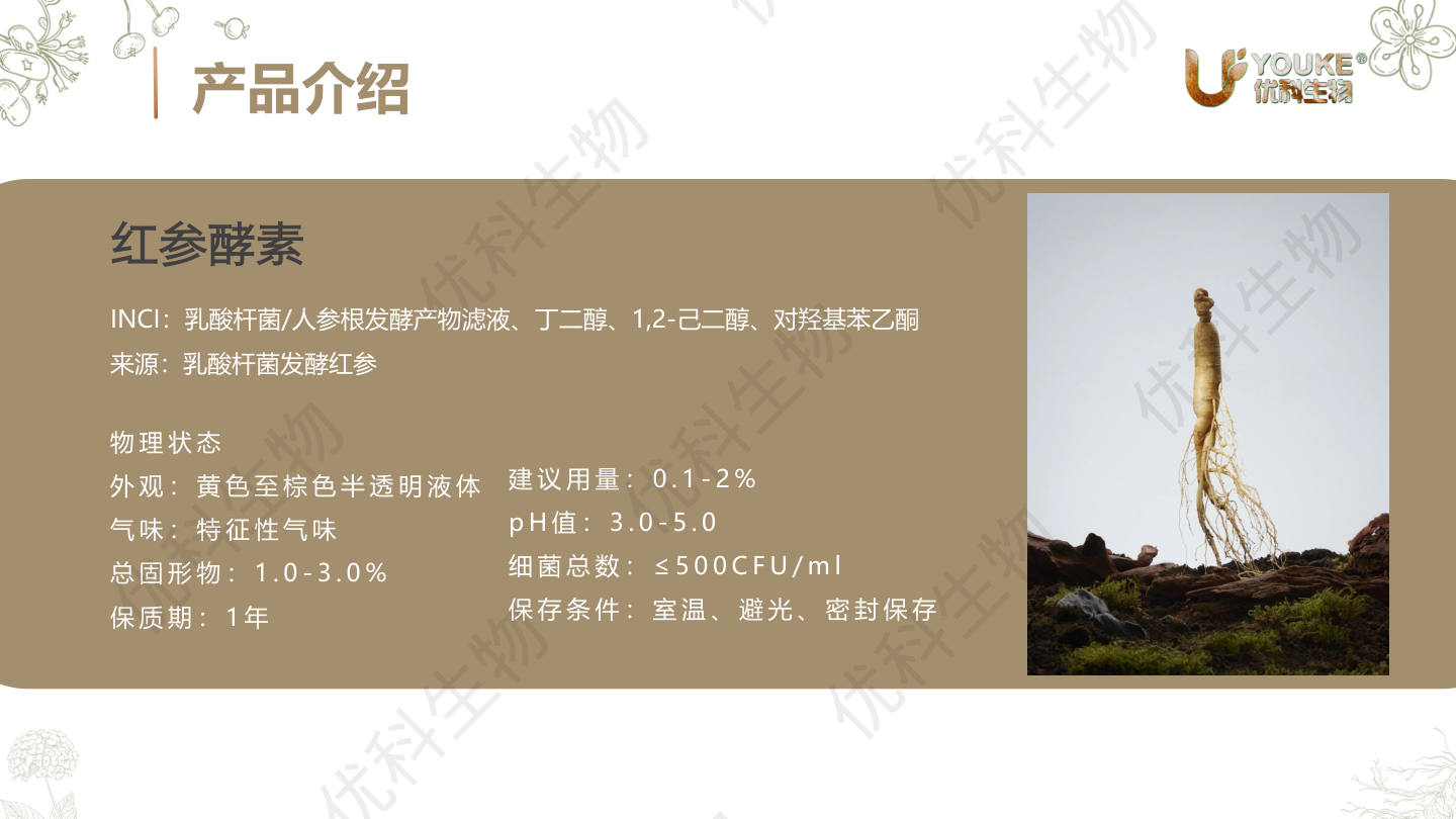 YK红参酵素产品介绍:组分、来源与物理状态