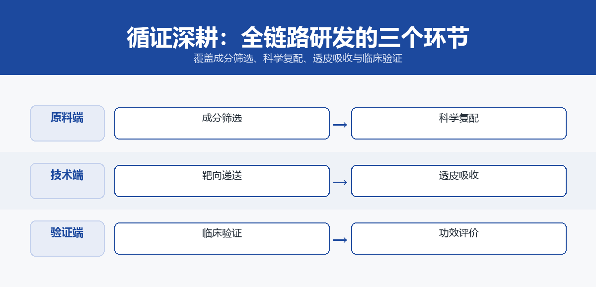 循证深耕全链路研发泳道图：原料端成分筛选与科学复配、技术端靶向递送与透皮吸收、验证端临床验证与功效评价